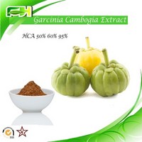Weight Loss Garcinia Cambogia Extract HCA. Hydroxycitric acid