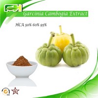 Factory Supply Garcinia Cambogia Extract