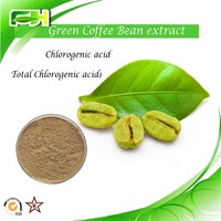 Factory Supply Green Coffee Bean extract 