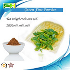 Anticancer Product Green tea Extract Powder. Tea Polyphenols 