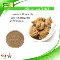 Factory Supply  Lepidium meyenii Extract. Maca Root Extract Powder