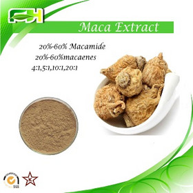 100% Natural Maca Extract 