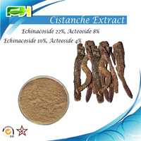 Factory Supply Echinacoside. Cistanche tubulosa Extract Powder 