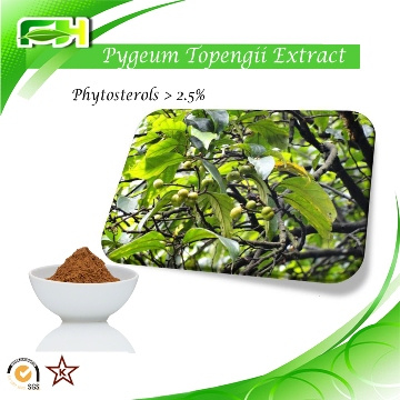 Health Product pygeum bark extract Phytosterols