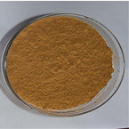 Pure Humulus Lupulus Extract