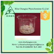 Top Quality Solanesol powder 