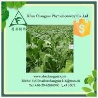 Hot Selling Tobacco Extract Powder 