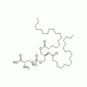 Phosphatidylserine