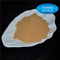 Songaria Cynomorium Herb Extract in Bulk Supply
