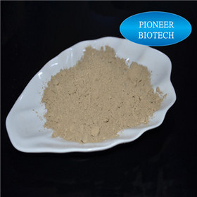 Pure Natural Buckwheat extracts