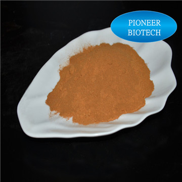 Pure Natural Galla Chinensis Extract