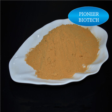 Hot Sale Lovage Extract