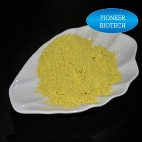 Pure Plant Extract Sophoridine