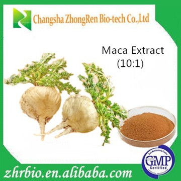 Maca Extract Powder, Maca Extract, Maca Root Extract 10:1 5:1