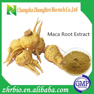 Maca Root Extract 20:1 from GMP Certified Manufacturer