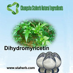 Vine Tea Extract 98% , Dihydromyricetin 95% 