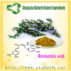 Pure Natural preservative Rosemary Extract rosemary acid/rosmarinic acid,rosemary oil,carnosic