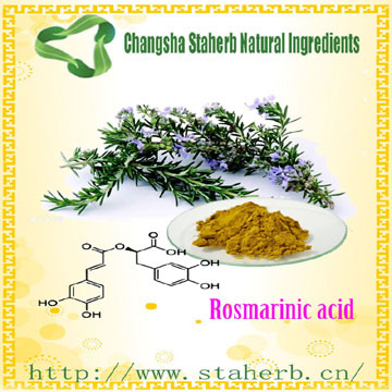 Pure Natural preservative Rosemary Extract rosemary acid/rosmarinic acid,rosemary oil,carnosic