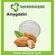 Bitter Apricot Seed extract