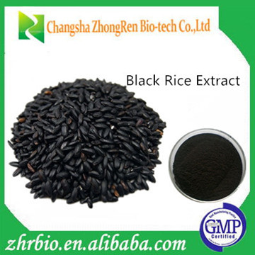 Factory price Chinese Herbal Extract Black Rice Extract 25% Anthocyanidin & black rice powder