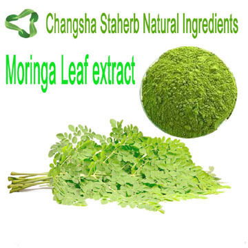 Best Quality Moringa Leaf Extract and Moringa Leaf Powder 