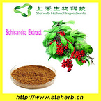 Manufacturer supply Herbal extarct schisandra seed extract 