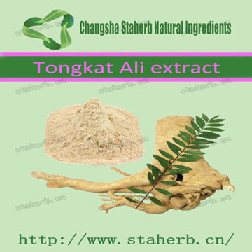 China manufacturer supply Herbal extract tongkat ali extract 