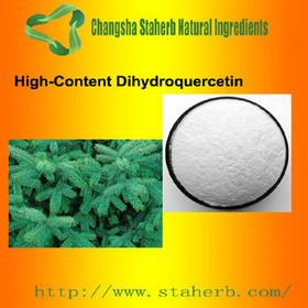 Sophora Japonica Extract Dihydroquercetin 