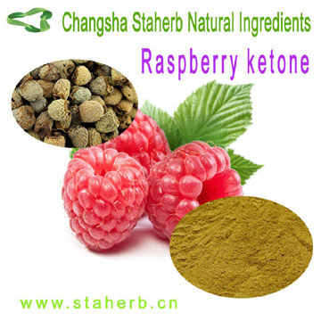 raspberry ketone manufacturers Raspberry Extract 