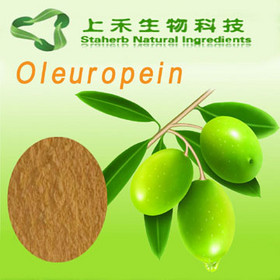 The best quality Olive Leaf Extract Oleuropein & Hydroxytyrosol 