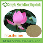 High Quality Natural 98% Nuciferine 