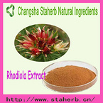 Hot Selling Porduct Rhodiola Rosea Extract Rosarin 