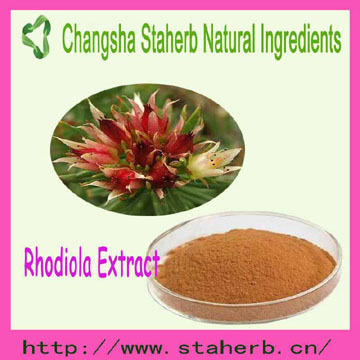 Hot Selling Porduct Rhodiola Rosea Extract Rosarin 