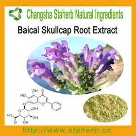manufacturer on sale! High Quality with Best Price Baicalin 