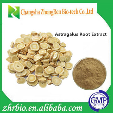 Pure Natural 10% Astragalus Root Extract Astragaloside IV