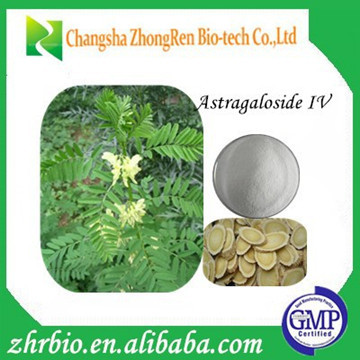 Natural Astragalus Root Extract Astragaloside IV Powder