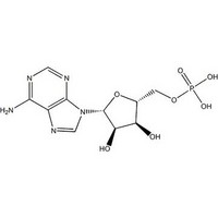 Adenosine Monophosphate Free Acid (5ˊ-AMP)