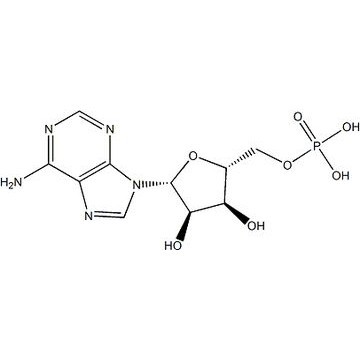 Adenosine Monophosphate Free Acid (5ˊ-AMP)