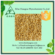 Top quality hordenine