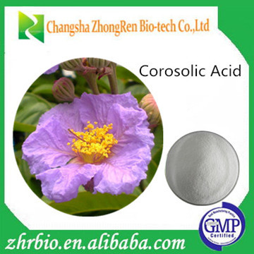 100% Natural Banaba Leaf Extract 1-98% Corosolic Acid