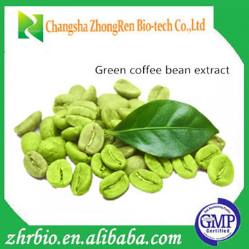 100% Natural Pure Green Coffee bean extract / Chlorogenic acid 45% 50% 60%