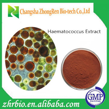 Professional Factory supply Haematococcus Extract Astaxanthin Powder 1.5%