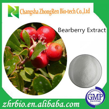 Competitive Price Bearberry Extract Powder Arbutin 98%