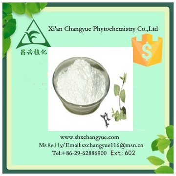 Hot Selling Resveratrol Powder