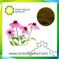 Echinacea Purpurea Extract, Chicoric Acid 1%-4%