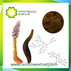 Cistanche Tubulosa Extract