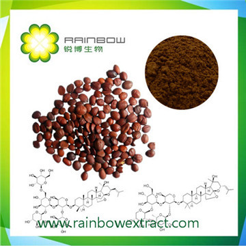 Spine Date Seed extract