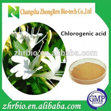 GMP certificated factory supply pure natural Honegsukle Flower Extract Chlorogenic Acid