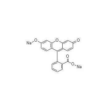 Fluorescein sodium