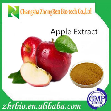 Apple peel extract powder/apple extract polyphenol/red apple extract